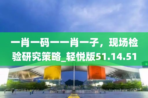 一肖一码一一肖一子，现场检验研究策略_轻悦版51.14.51