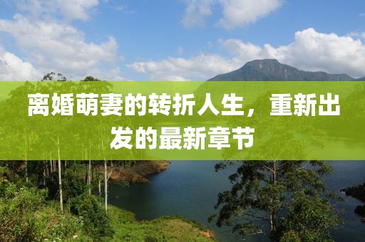 离婚萌妻的转折人生，重新出发的最新章节