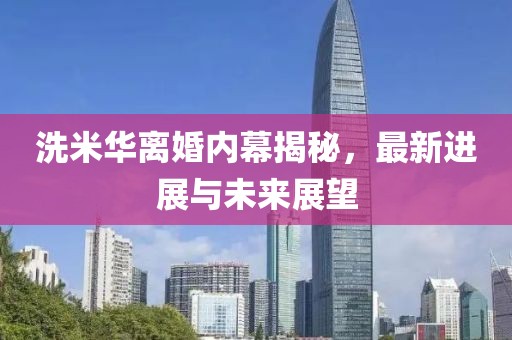 洗米华离婚内幕揭秘，最新进展与未来展望