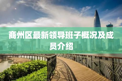 商州区最新领导班子概况及成员介绍