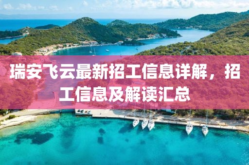 瑞安飞云最新招工信息详解，招工信息及解读汇总