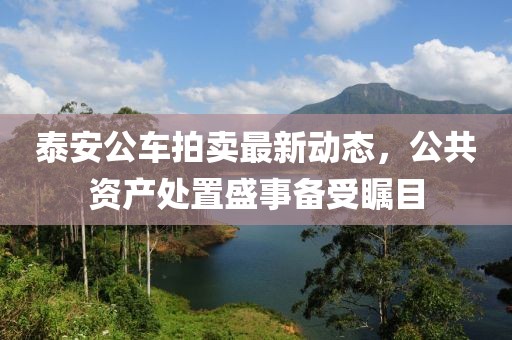 泰安公车拍卖最新动态，公共资产处置盛事备受瞩目