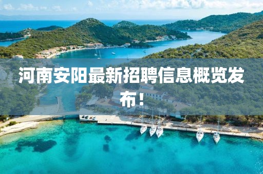 河南安阳最新招聘信息概览发布！