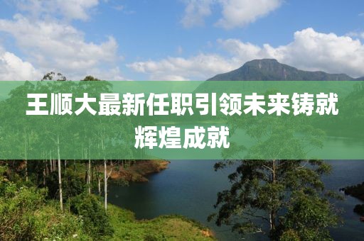 王顺大最新任职引领未来铸就辉煌成就
