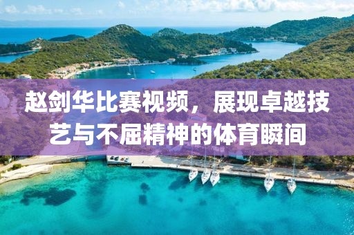 赵剑华比赛视频，展现卓越技艺与不屈精神的体育瞬间