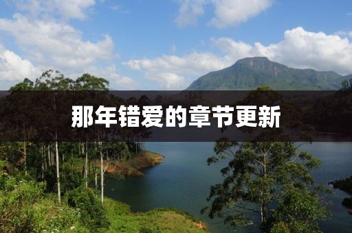 那年错爱的章节更新