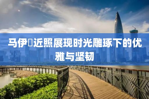 马伊琾近照展现时光雕琢下的优雅与坚韧