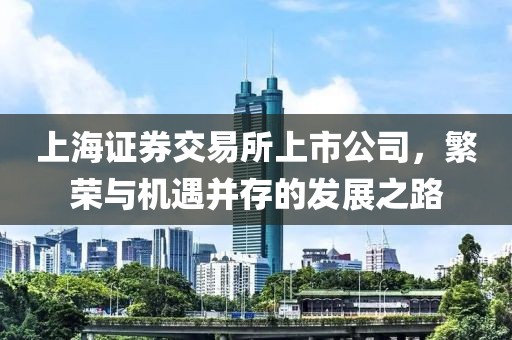 上海证券交易所上市公司，繁荣与机遇并存的发展之路