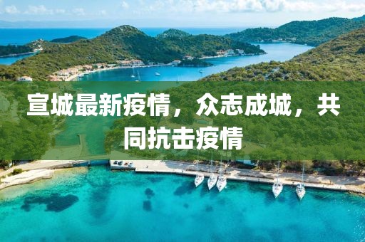 宣城最新疫情，众志成城，共同抗击疫情