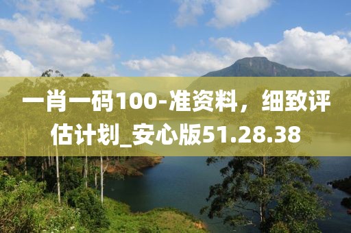一肖一码100-准资料，细致评估计划_安心版51.28.38