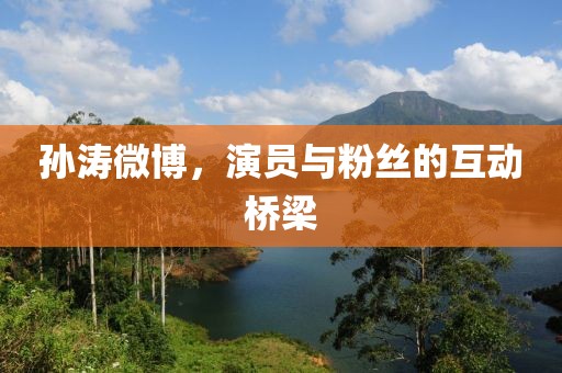 孙涛微博，演员与粉丝的互动桥梁