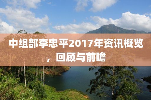 中组部李忠平2017年资讯概览，回顾与前瞻