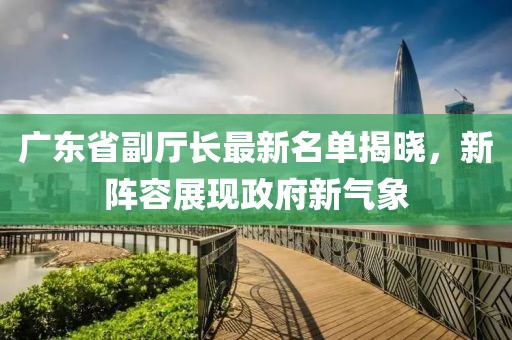 广东省副厅长最新名单揭晓，新阵容展现政府新气象