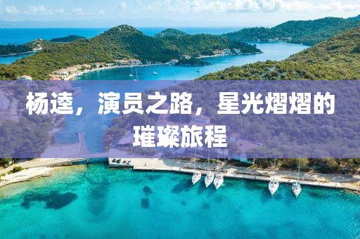 杨逵，演员之路，星光熠熠的璀璨旅程