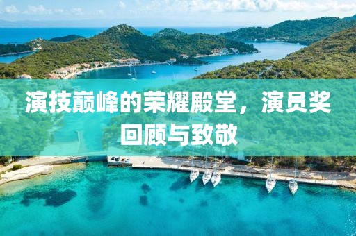 演技巅峰的荣耀殿堂，演员奖回顾与致敬