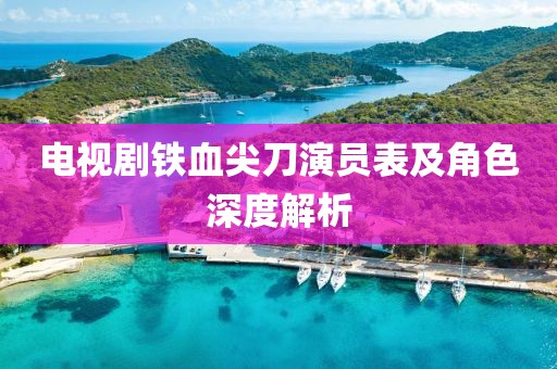 电视剧铁血尖刀演员表及角色深度解析