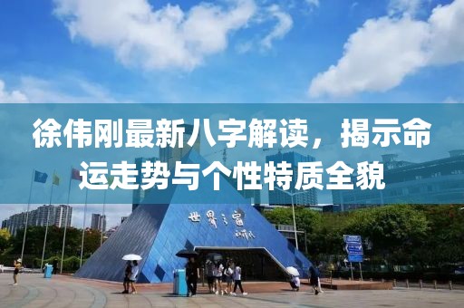 徐伟刚最新八字解读，揭示命运走势与个性特质全貌