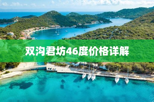 双沟君坊46度价格详解