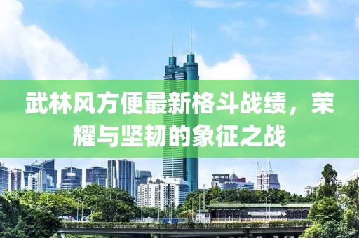 武林风方便最新格斗战绩，荣耀与坚韧的象征之战