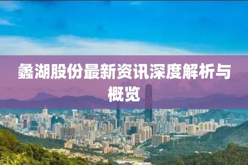 蠡湖股份最新资讯深度解析与概览