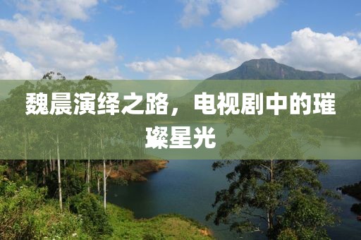 魏晨演绎之路，电视剧中的璀璨星光
