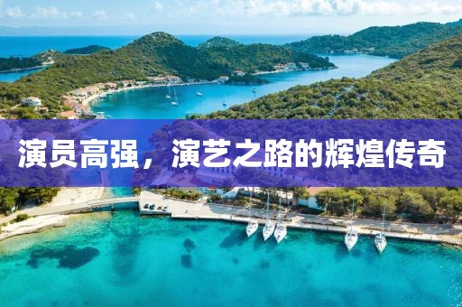 演员高强，演艺之路的辉煌传奇
