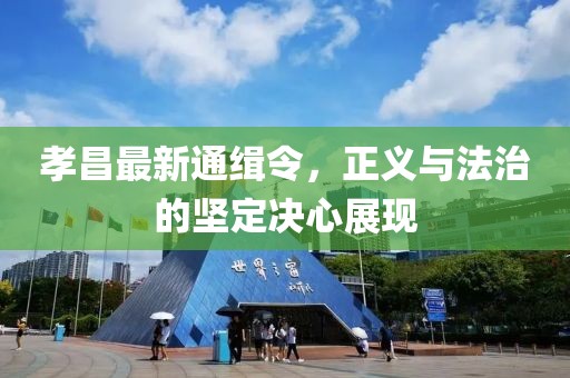 佐佐木惠理 第25页