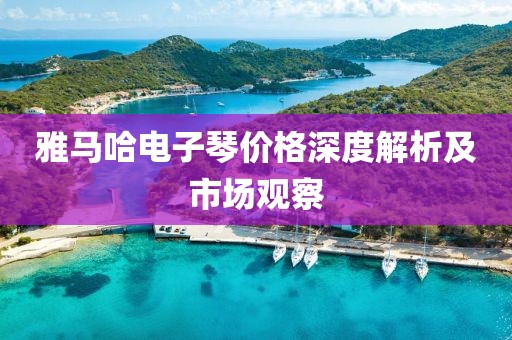 雅马哈电子琴价格深度解析及市场观察