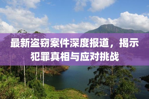 最新盗窃案件深度报道，揭示犯罪真相与应对挑战