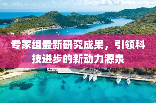 专家组最新研究成果，引领科技进步的新动力源泉