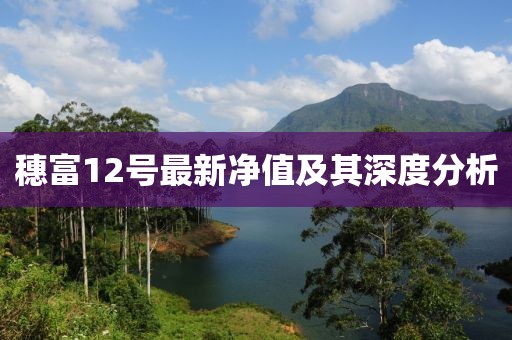 穗富12号最新净值及其深度分析