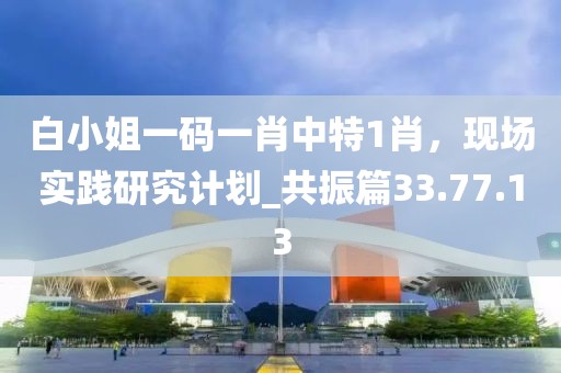 白小姐一码一肖中特1肖，现场实践研究计划_共振篇33.77.13