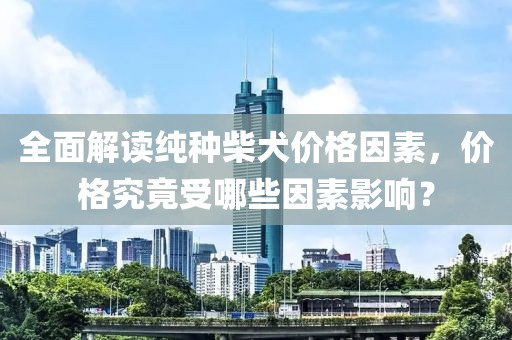 全面解读纯种柴犬价格因素，价格究竟受哪些因素影响？