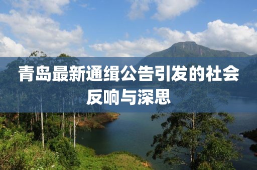 青岛最新通缉公告引发的社会反响与深思