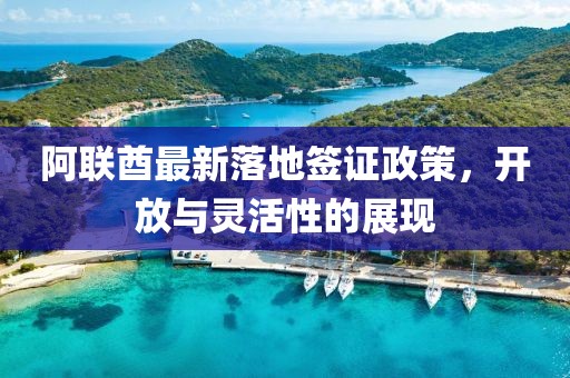 阿联酋最新落地签证政策，开放与灵活性的展现