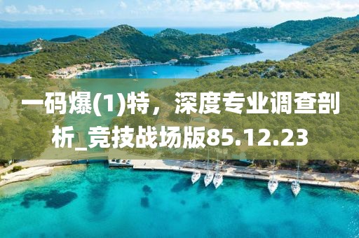 一码爆(1)特，深度专业调查剖析_竞技战场版85.12.23