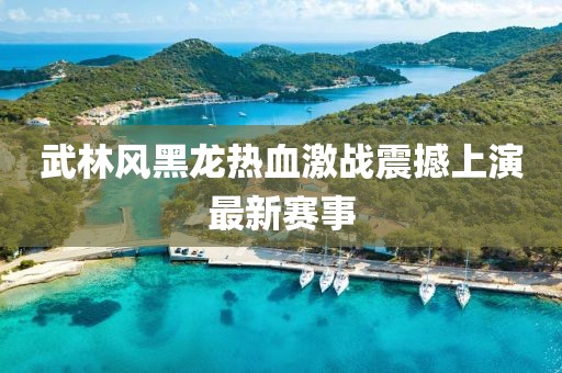 武林风黑龙热血激战震撼上演最新赛事