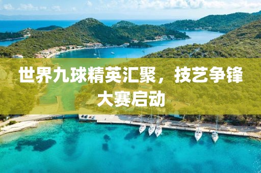 世界九球精英汇聚，技艺争锋大赛启动