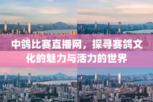 中鸽比赛直播网，探寻赛鸽文化的魅力与活力的世界