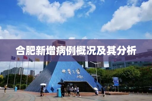 合肥新增病例概况及其分析