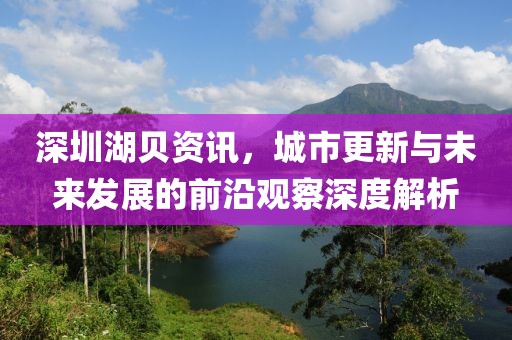 深圳湖贝资讯，城市更新与未来发展的前沿观察深度解析