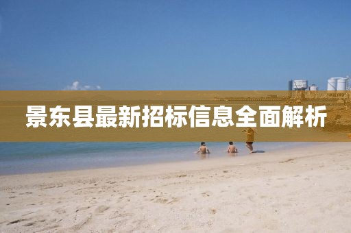 景东县最新招标信息全面解析