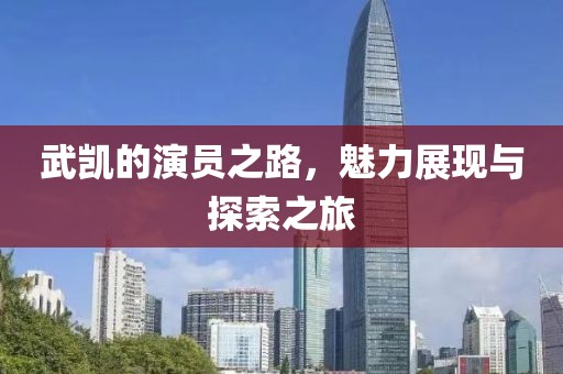 武凯的演员之路，魅力展现与探索之旅
