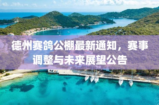 德州赛鸽公棚最新通知，赛事调整与未来展望公告