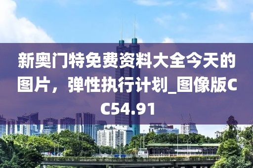 新奥门特免费资料大全今天的图片，弹性执行计划_图像版CC54.91