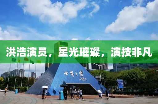 洪浩演员，星光璀璨，演技非凡