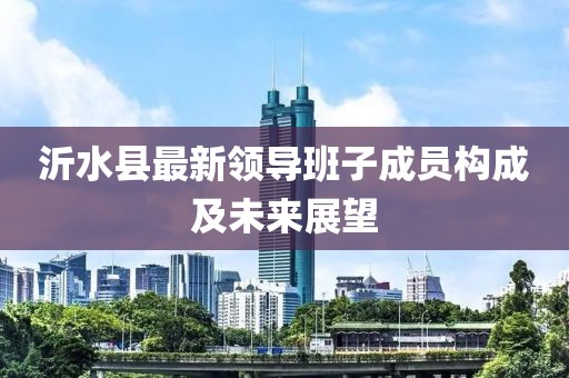 沂水县最新领导班子成员构成及未来展望
