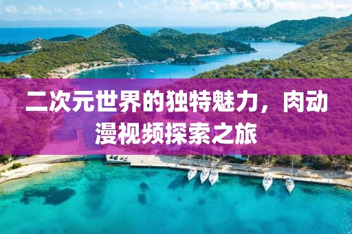 二次元世界的独特魅力，肉动漫视频探索之旅