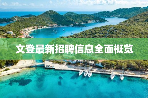 叶舞霓裳 第9页