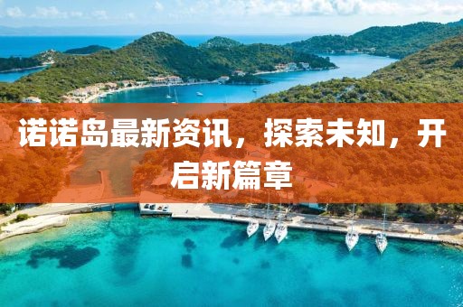 诺诺岛最新资讯，探索未知，开启新篇章